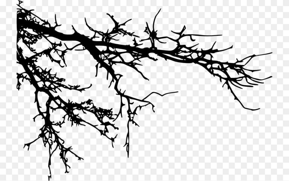 Tree Branches Silhouette Transparent Tree Branches Silhouette, Plant, Leaf, Animal, Dinosaur Free Png