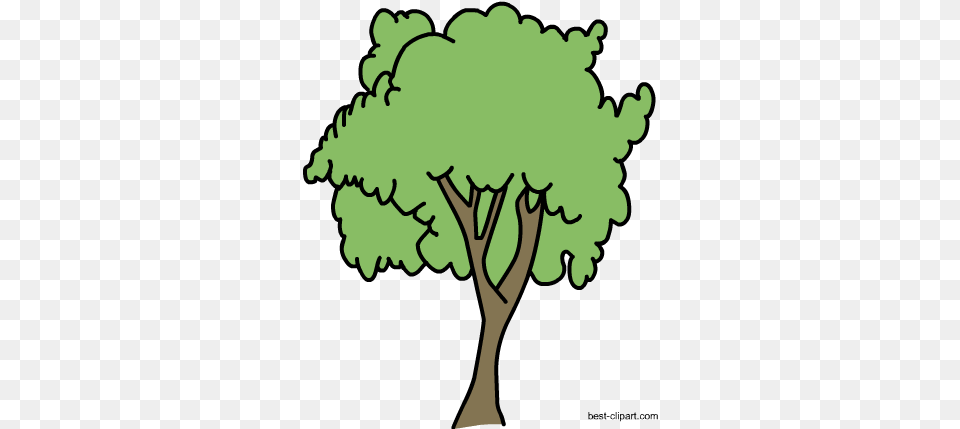 Tree Clip Art In Format Clip Art, Plant, Oak, Sycamore, Vegetation Free Png