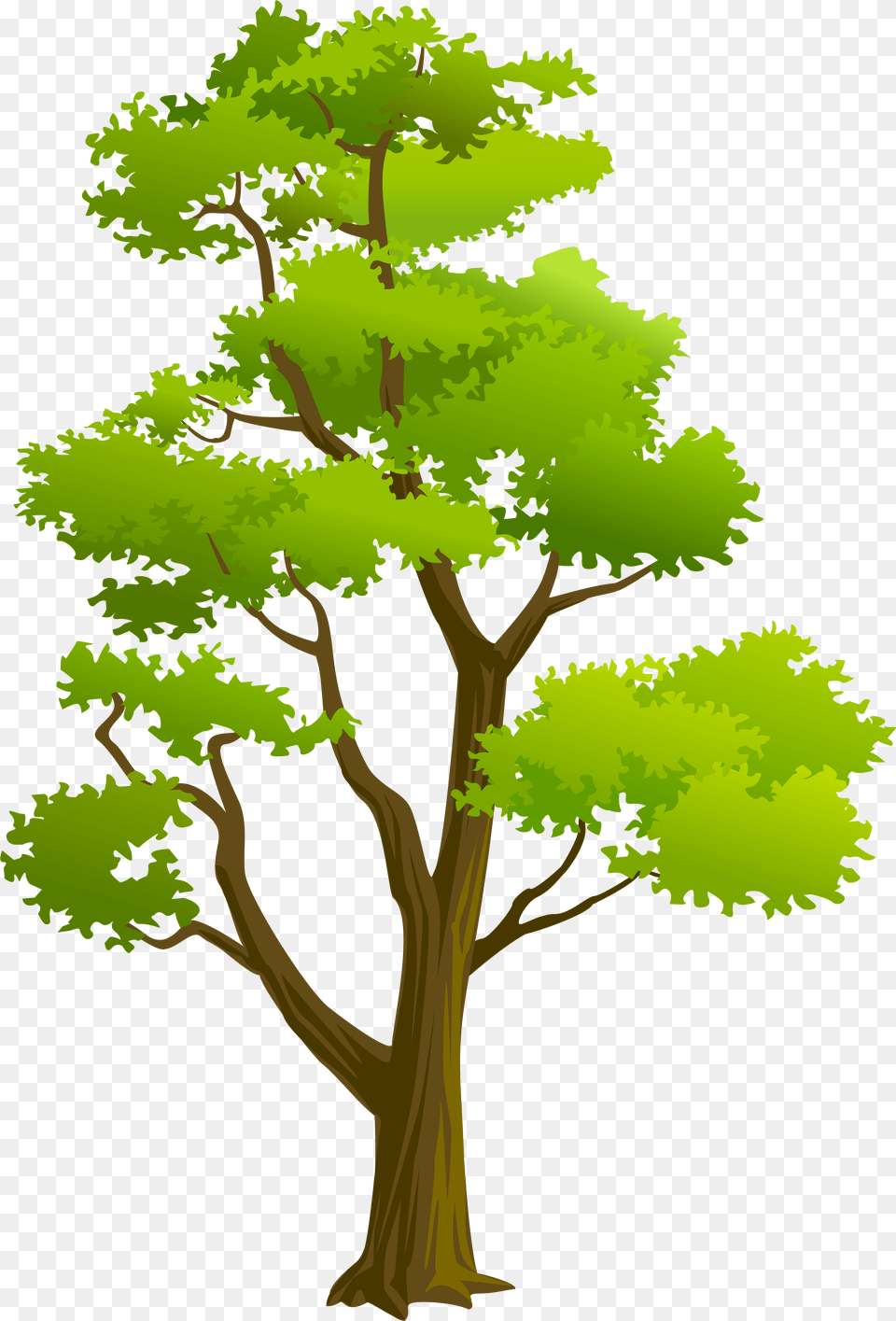 Free Tree Images Background Tree Clipart High Resolution, Green, Plant, Vegetation, Oak Png Image