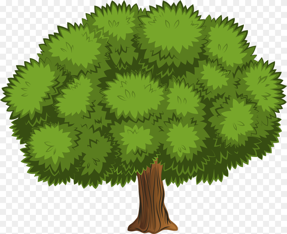 Trees Top View Clip Art Grass, Conifer, Vegetation, Tree, Plant Free Png Download