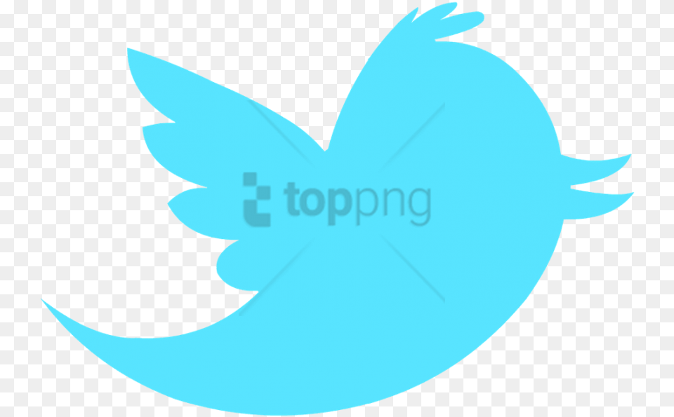 Free Twitter Icon Without Background Twitter Social Media, Logo, Animal, Fish, Sea Life Png Image