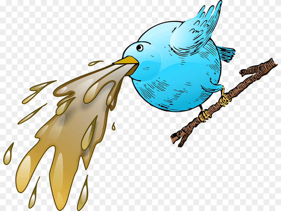 Twitter U0026 Bird Vectors Pixabay Sick Bird, Animal, Beak, Jay, Adult Free Transparent Png