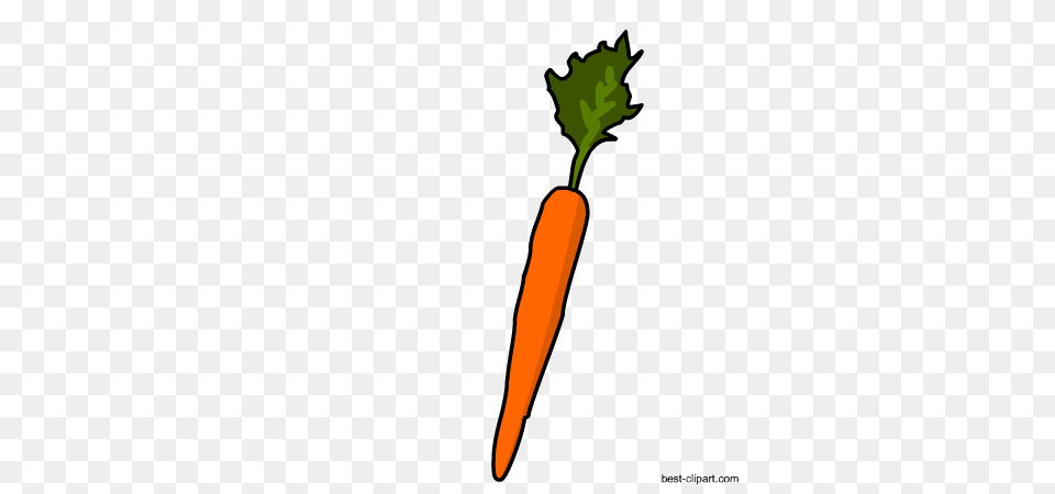 Vagetables Clip Art, Carrot, Food, Plant, Produce Free Transparent Png