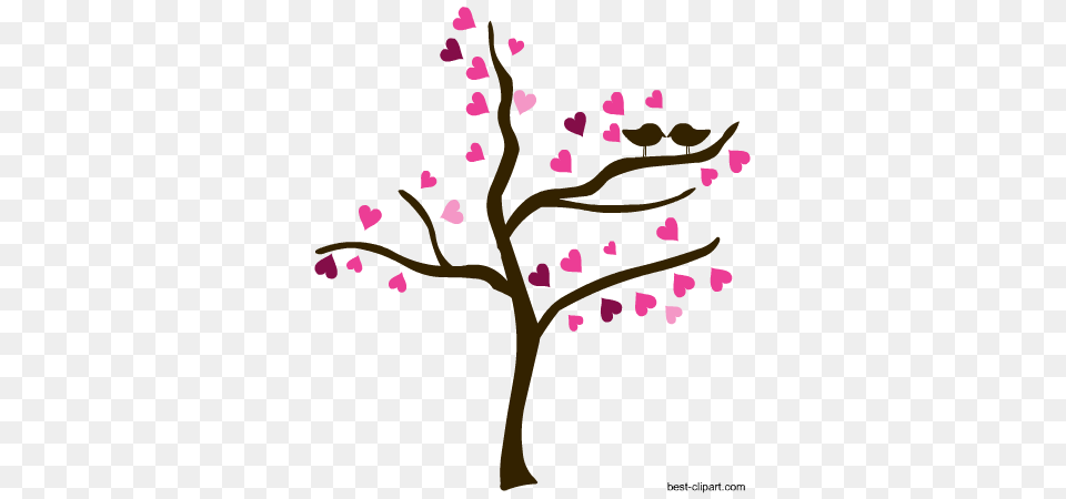 Valentine Anniversary And Couples Clip Art, Flower, Petal, Plant, Cherry Blossom Free Transparent Png