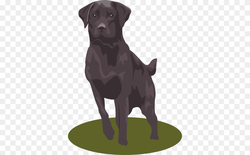 Free Vector Black Lab Clip Art, Animal, Canine, Dog, Labrador Retriever Png