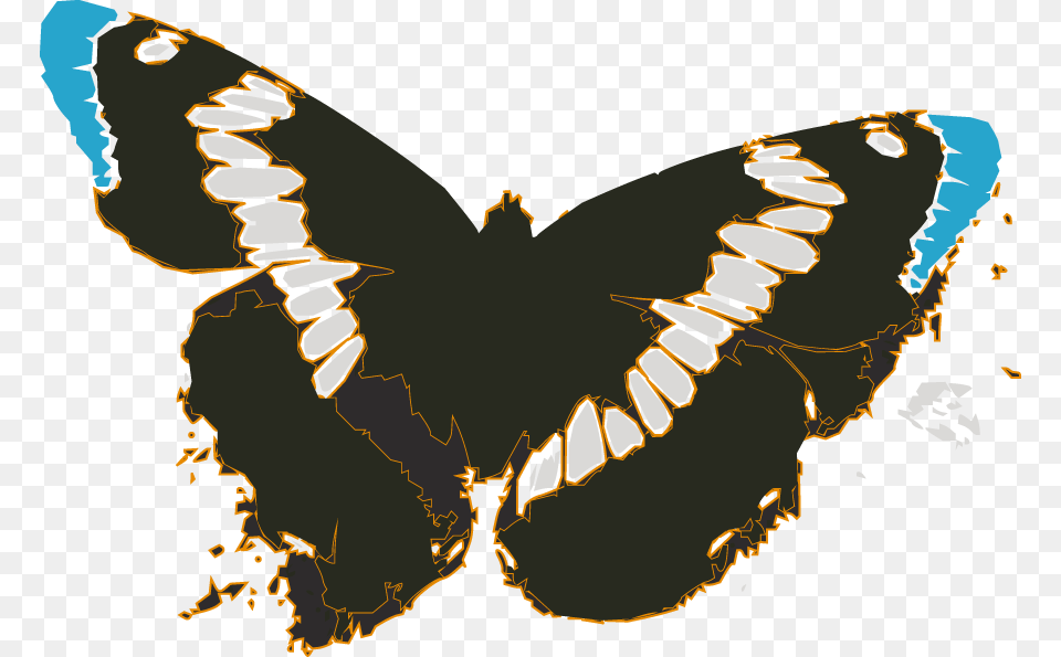 Vector Butterflies Butterflies, Person, Animal, Butterfly, Insect Free Png Download