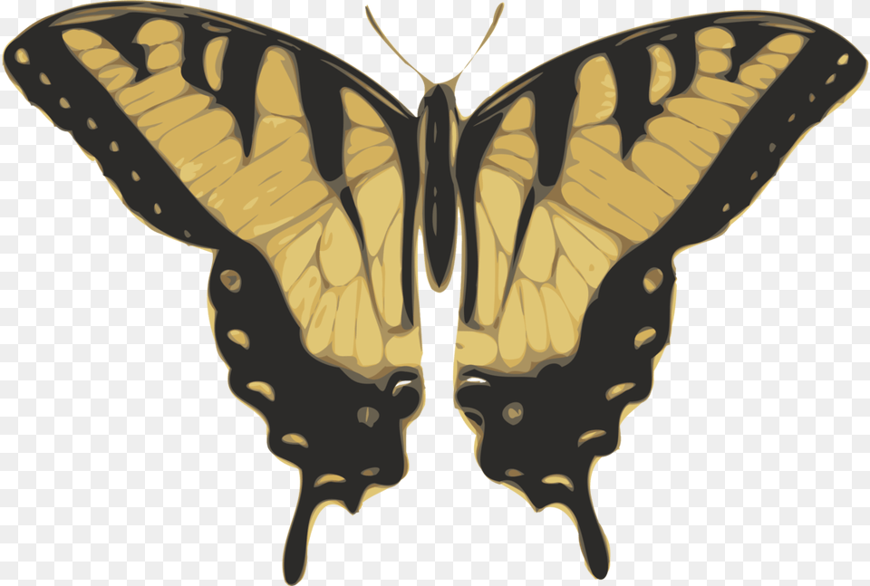Free Vector Butterfly Top View Clip Art Swallowtail Butterfly Monarch Tiger, Animal, Insect, Invertebrate, Moth Png Image