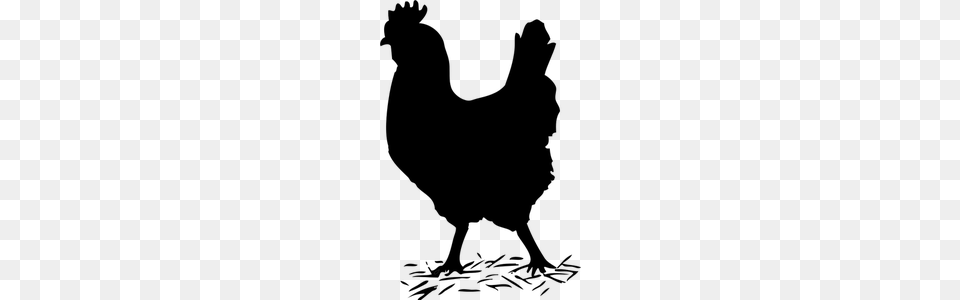 Vector Chicken Clipart, Gray Free Png Download