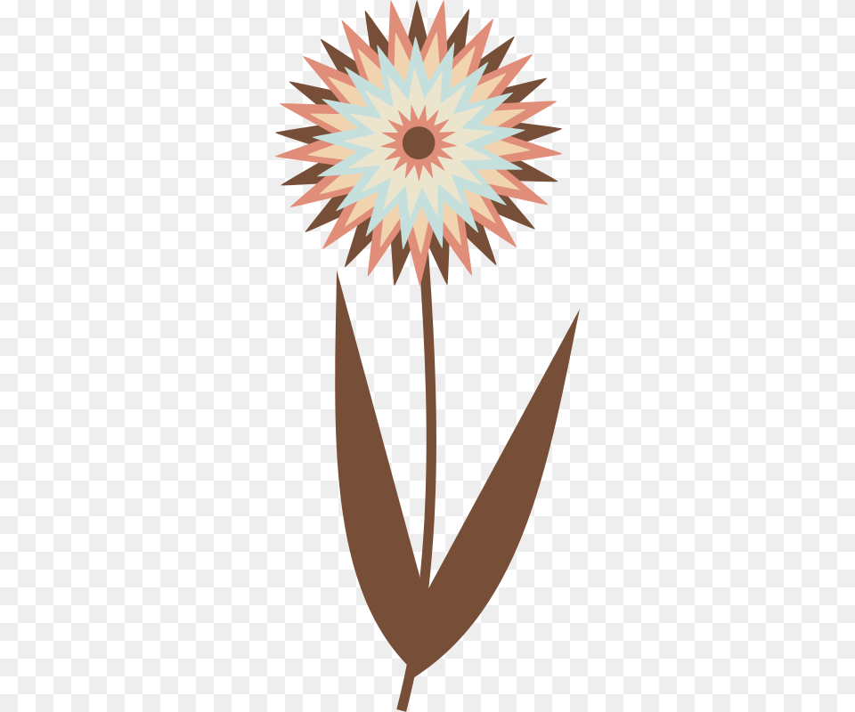 Vector Chocolate Flower, Daisy, Plant, Dahlia, Petal Free Transparent Png