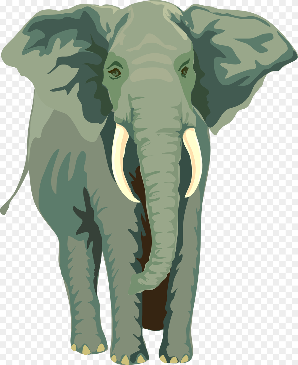 Vector Elephant Clip Art African Elephant Shower Curtain, Baby, Person, Animal, Mammal Free Png
