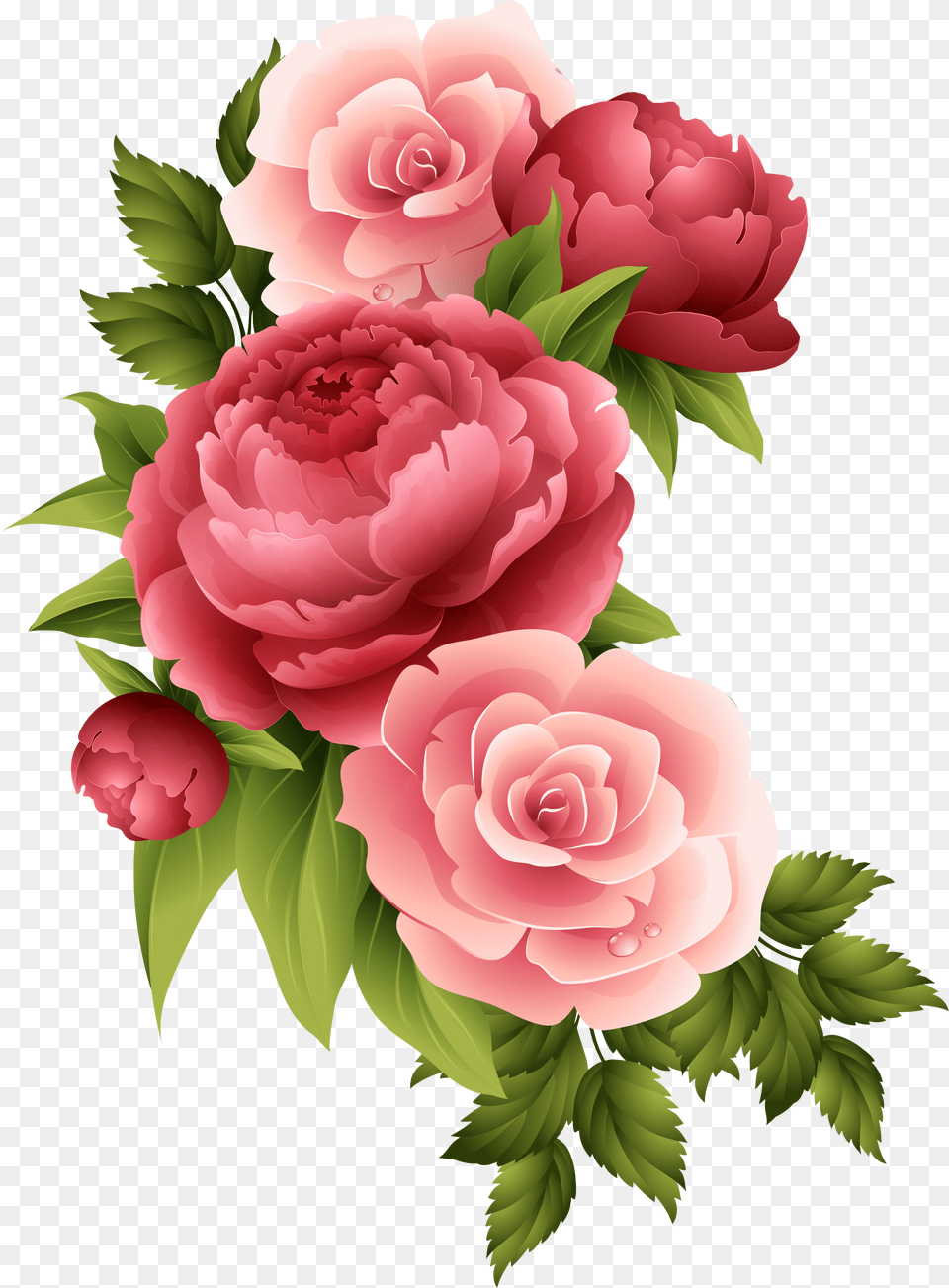 Free Vector Flower Invitation, Plant, Rose, Carnation, Peony Png
