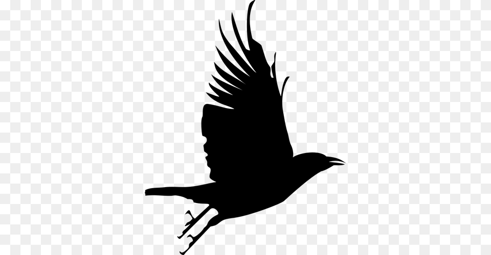 Vector Flying Bird Silhouette, Gray Free Png