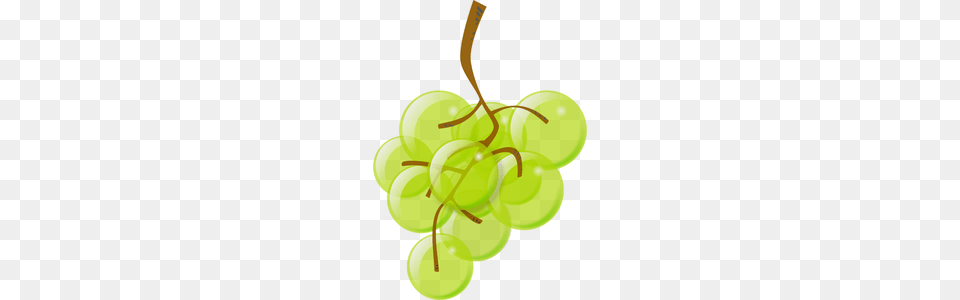 Vector Grapes, Food, Fruit, Plant, Produce Free Transparent Png