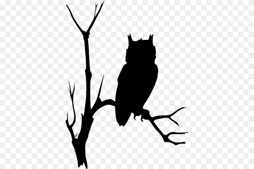 Vector Graphic Owl In Tree Silhouette, Stencil, Animal, Cat, Mammal Free Png