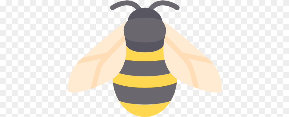 Free Vector Icons Of Animals Bee Icon Free, Animal, Honey Bee, Insect, Invertebrate Png