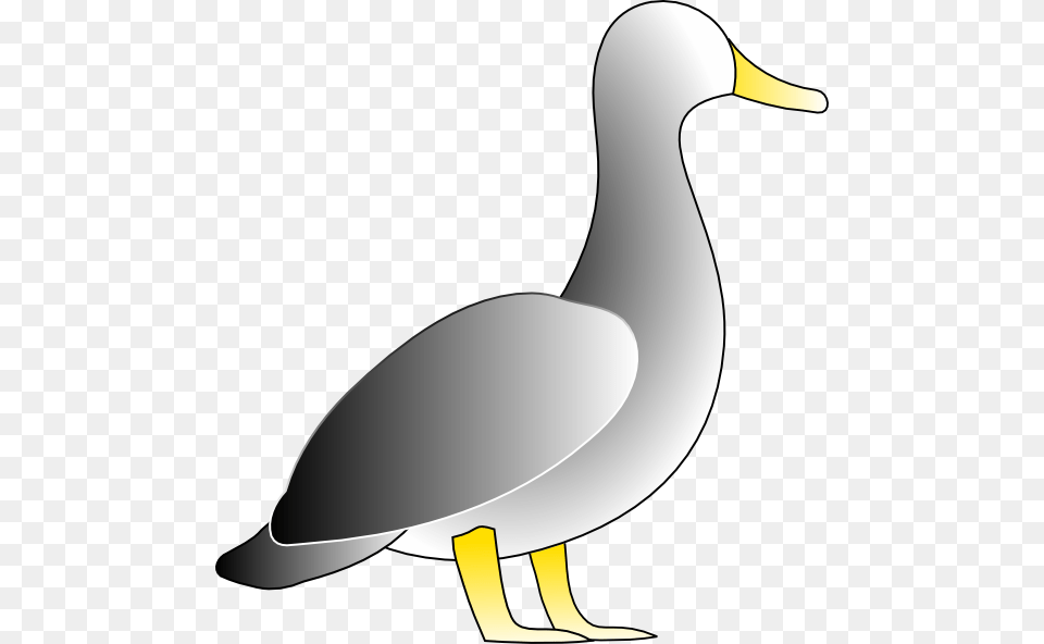 Vector Jonathon39s Duck Clip Art Duck Clip Art, Animal, Bird, Anseriformes, Waterfowl Free Png Download