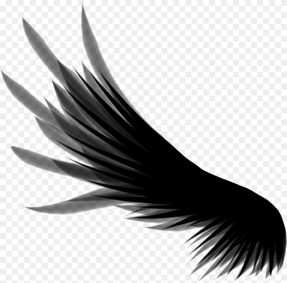 Free Vectors Download Wings, Gray Png Image