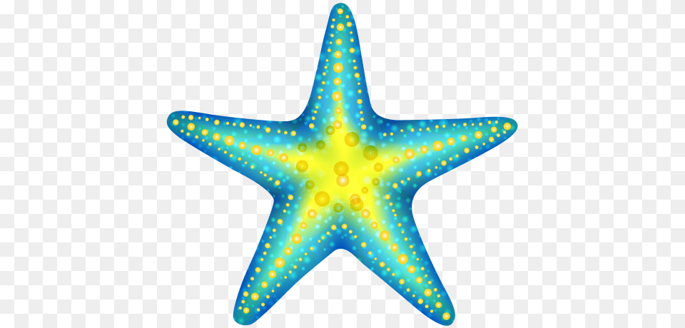 Vectors Starfish Art, Animal, Sea Life, Fish, Shark Free Transparent Png