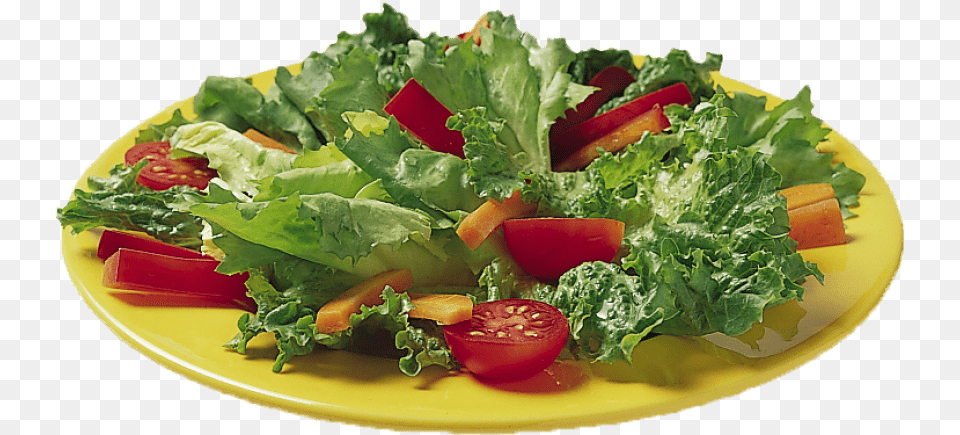 Free Vegetable Salad Images Transparent Salad, Dining Table, Furniture, Table, Food Png