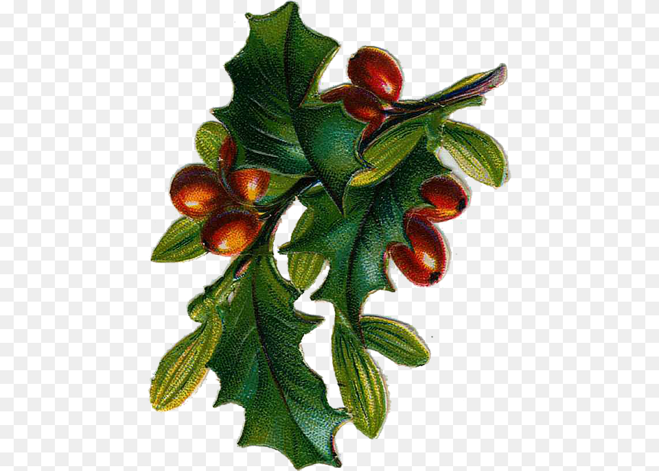 Victorian Christmas Tree Clip Art Vintage Victorian Christmas Clip Art, Leaf, Plant, Produce, Nut Free Transparent Png