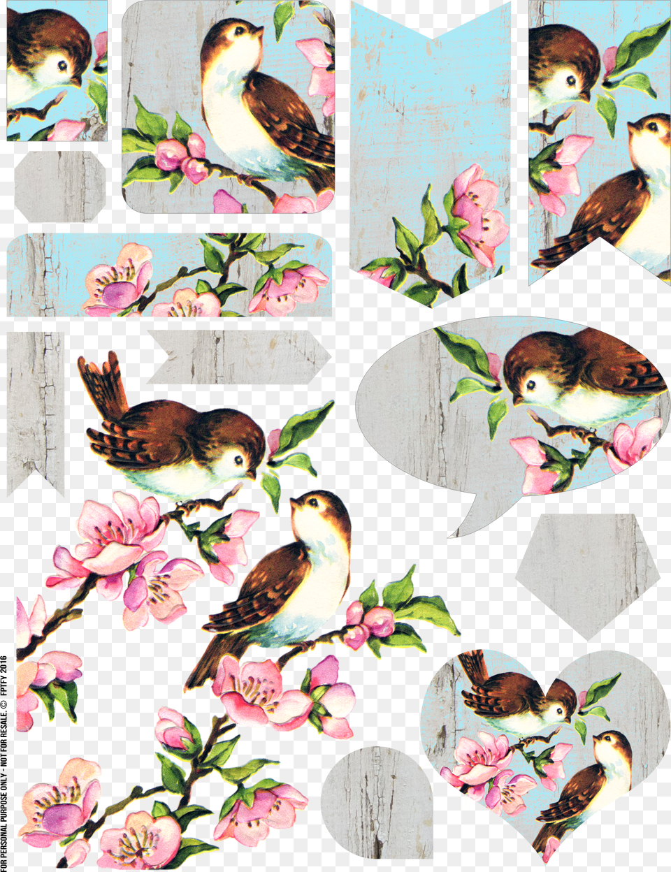 Free Vintage Bird Collage Sheet Vintage Bird No Background, Publication, Book, Comics, Head Png Image