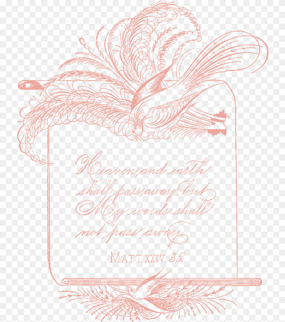 Vintage Clip Art Sketch, Calligraphy, Handwriting, Text, Person Free Transparent Png