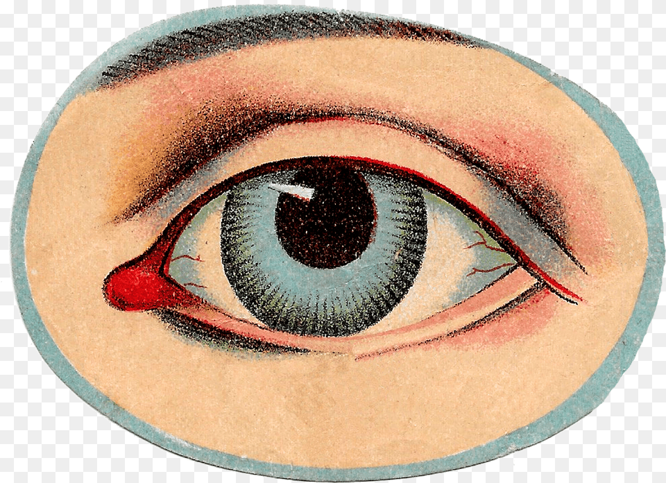 Vintage Human Anatomy Illustration Eye Vintage Eye, Art, Adult, Female, Person Free Png