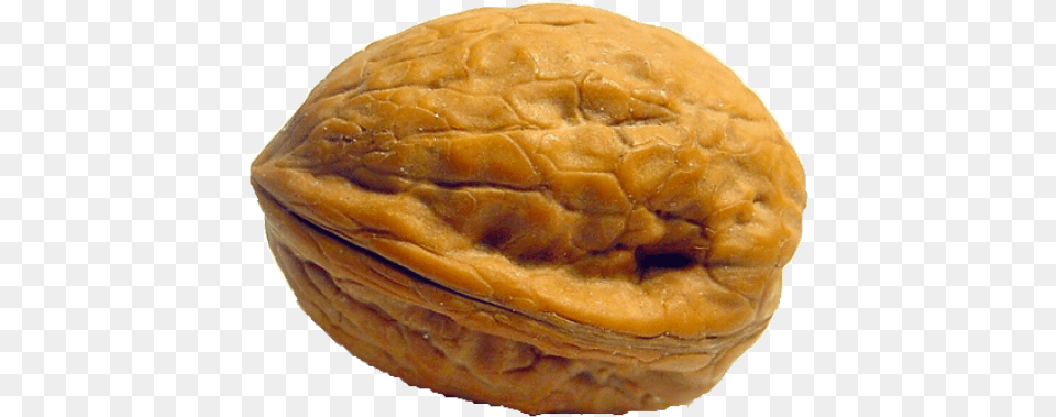 Walnut Images Transparent Walnut In The Shell, Food, Nut, Plant, Produce Free Png Download