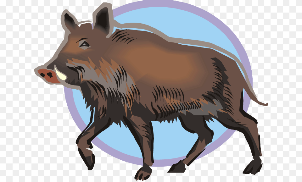 Warthog Wild Boar Wild Boar Clipart, Animal, Hog, Mammal, Pig Free Png