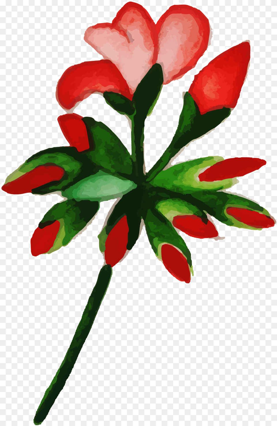 Watercolor Floral Konfest, Flower, Geranium, Petal, Plant Free Transparent Png
