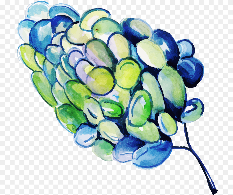 Free Watercolor Floral Konfest Still Life, Food, Fruit, Grapes, Plant Png Image
