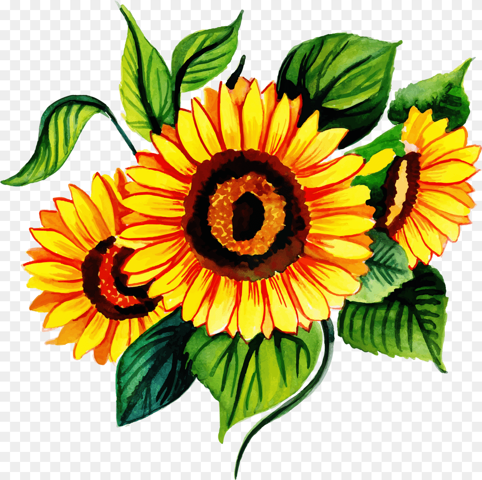 Watercolor Floral Sunflower, Flower, Plant Free Transparent Png