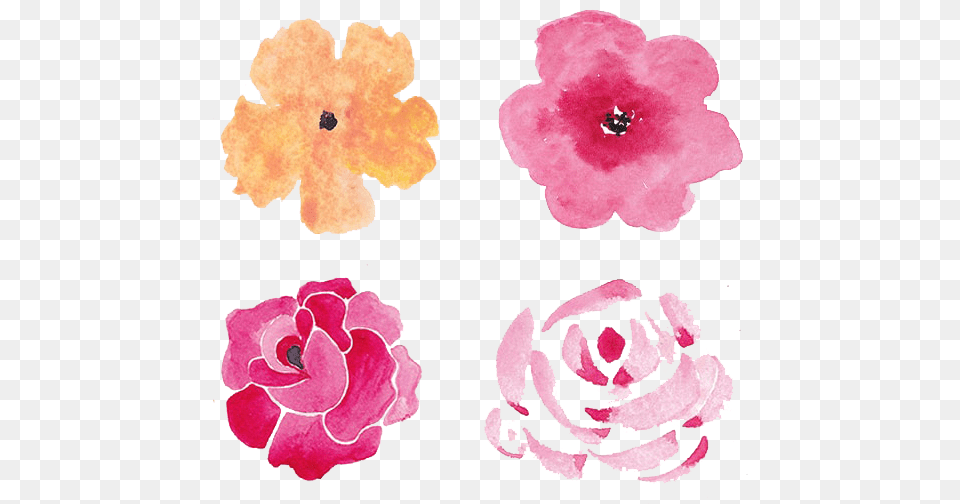 Watercolor Flowers Set Watercolor Painting, Flower, Geranium, Petal, Plant Free Png Download