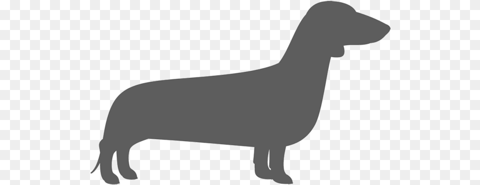 Weiner Dog Svg, Silhouette, Animal, Mammal, Person Free Png