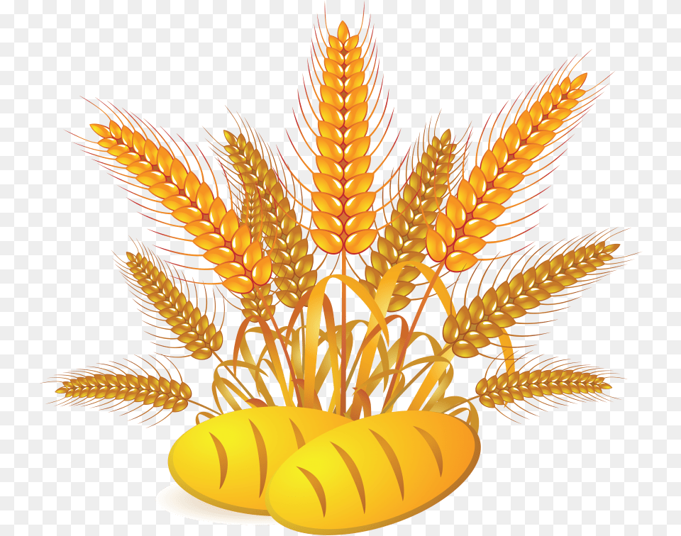 Wheat Images Pan Y Trigo, Chandelier, Lamp, Food, Grain Free Transparent Png