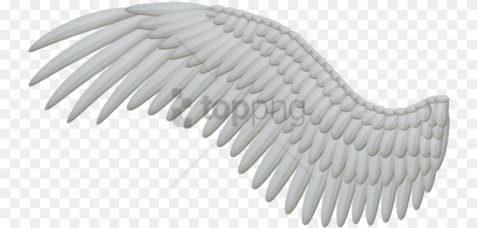White Angel Wings With White Wings, Animal, Bird, Vulture, Waterfowl Free Transparent Png