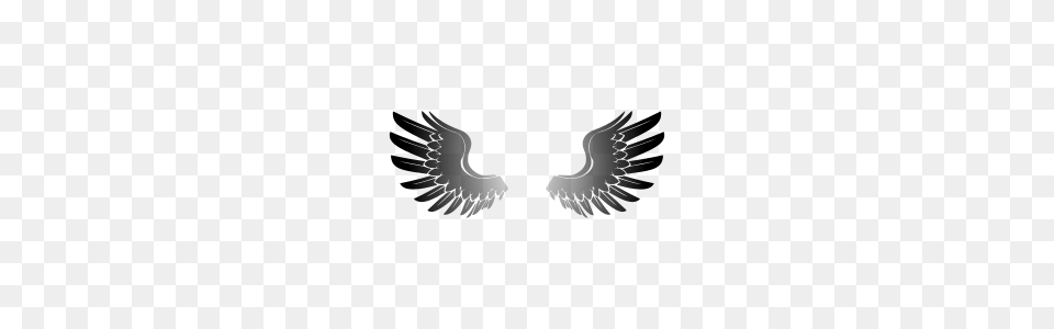 Free Wings Clipart W Ngs Icons, Gray Png