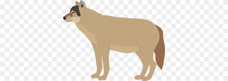 Wolf U0026 Animal Vectors Pixabay Animal Figure, Canine, Dog, Mammal, Pet Free Png