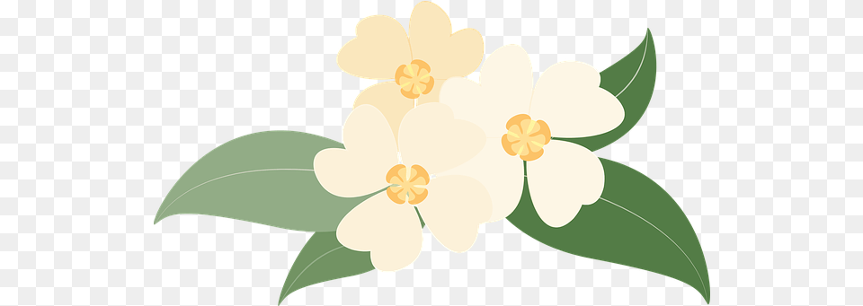 Free Yellow Flowers Flower Vectors Flower, Anemone, Plant, Petal, Floral Design Png Image