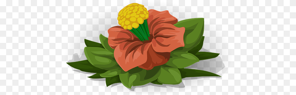 Yellow Flowers Flower Vectors Fresh, Plant, Hibiscus, Person, Dahlia Free Png Download