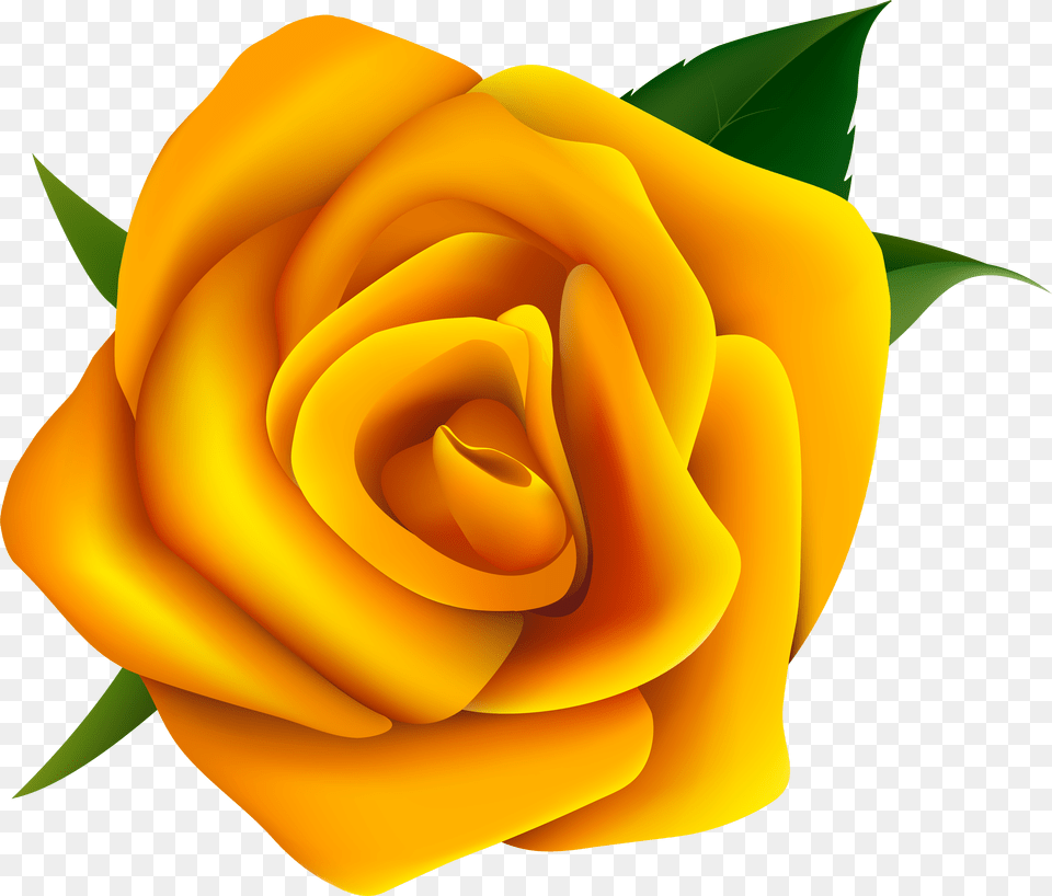 Free Yellow Rose Vector Png