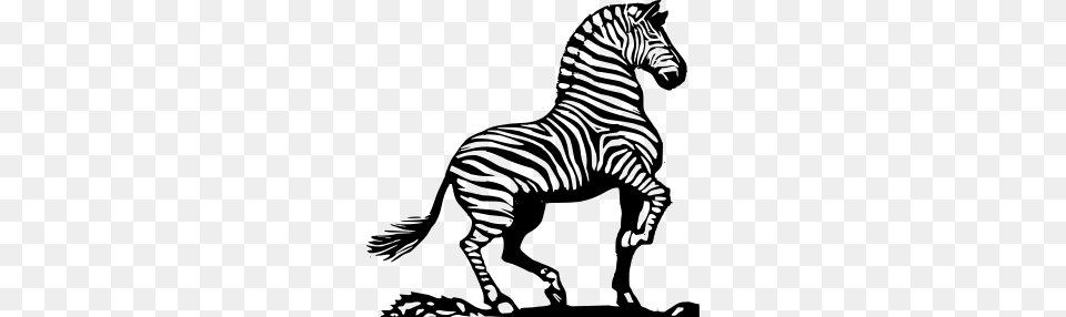 Zebra Clipart Zebra Icons, Gray Free Png Download