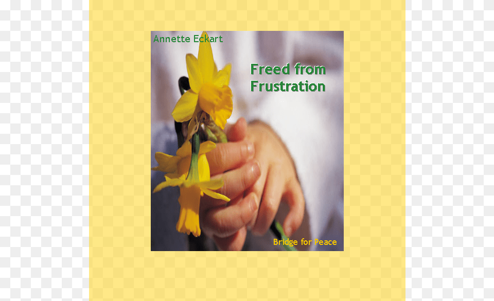 Freed From Frustration, Daffodil, Flower, Plant, Body Part Free Png