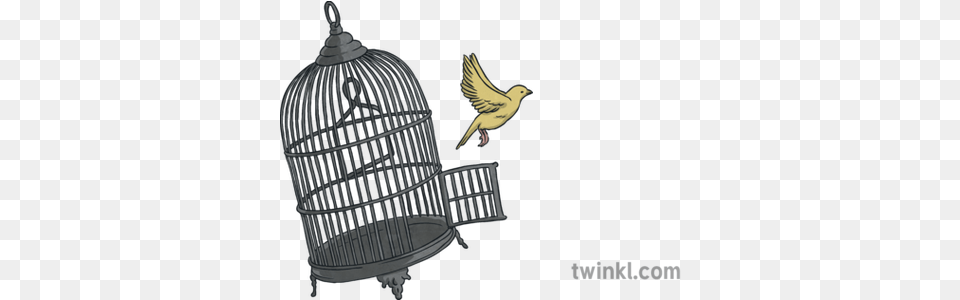 Freedom Bird Cage Illustration Twinkl Sizzling Starts To Narratives, Animal, Finch, Canary Free Transparent Png