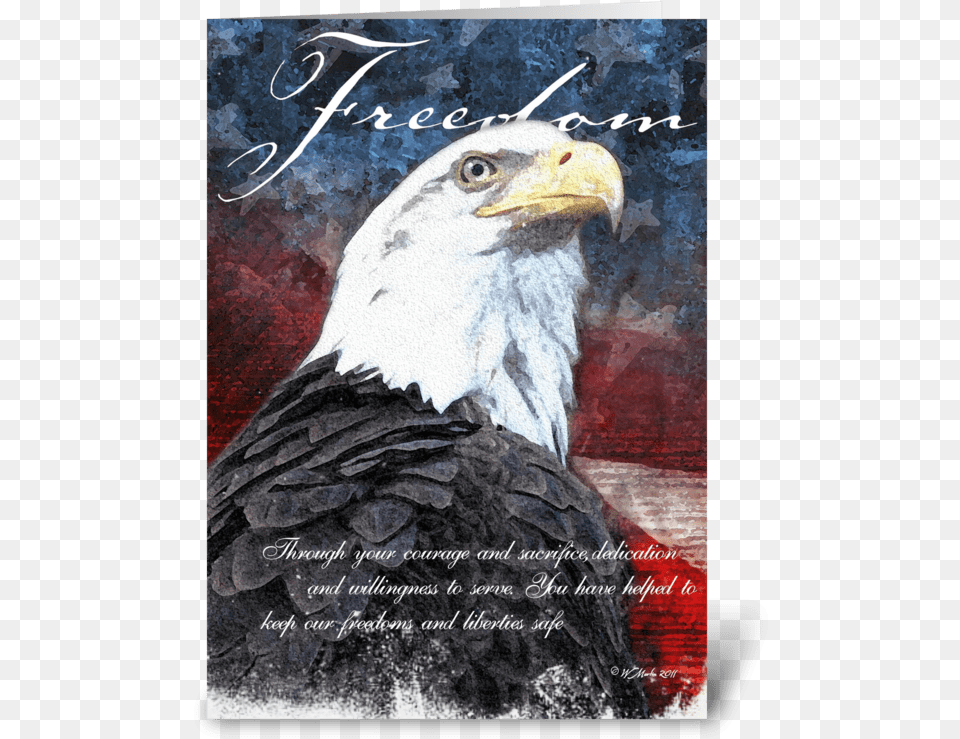 Freedom Eagle Veteran39s Day Card Greeting Card Veterans Day Bald Eagle, Animal, Beak, Bird, Bald Eagle Free Png Download