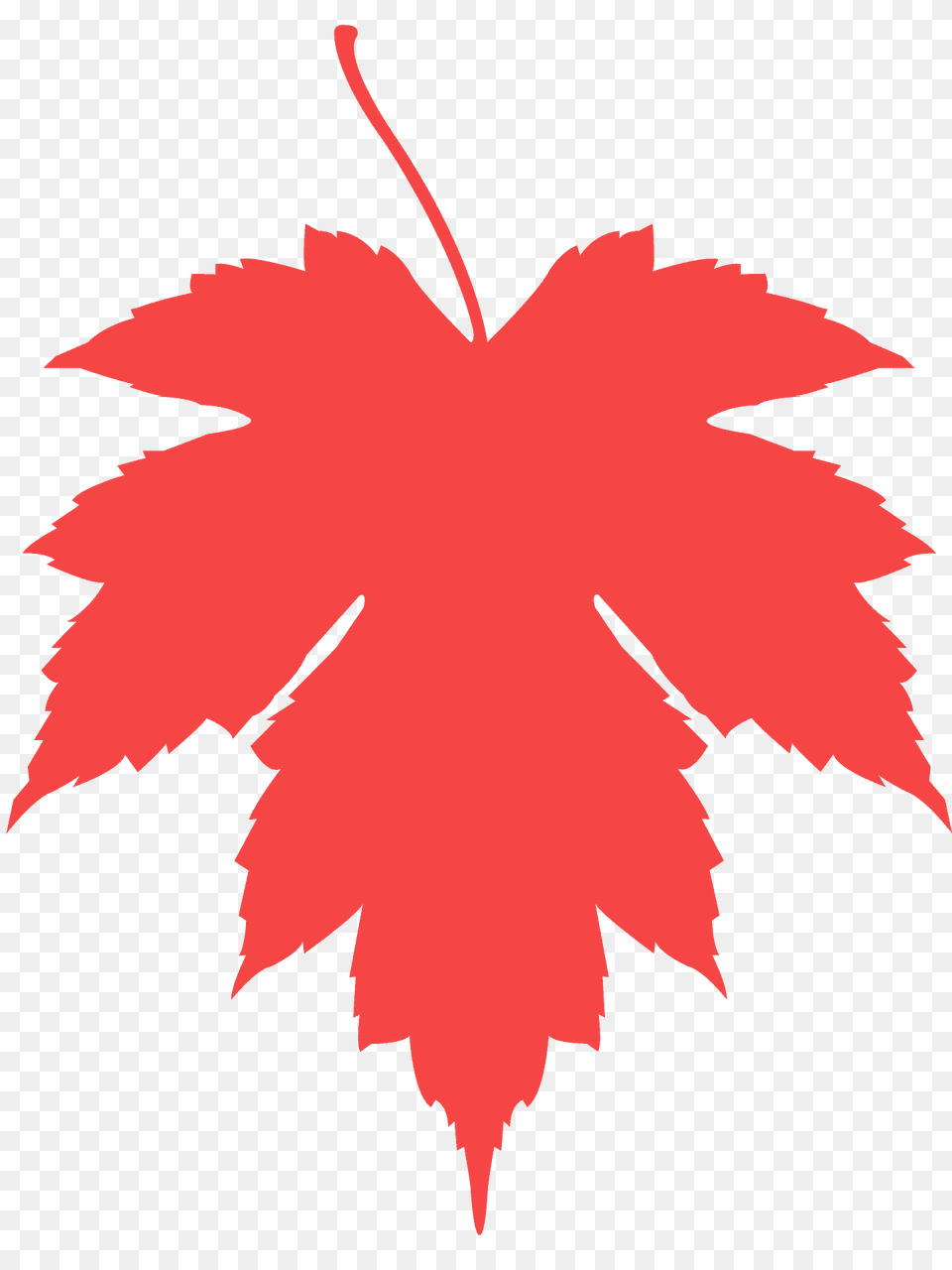 Freeman Maple Leaf Silhouette, Maple Leaf, Plant, Tree, Animal Png