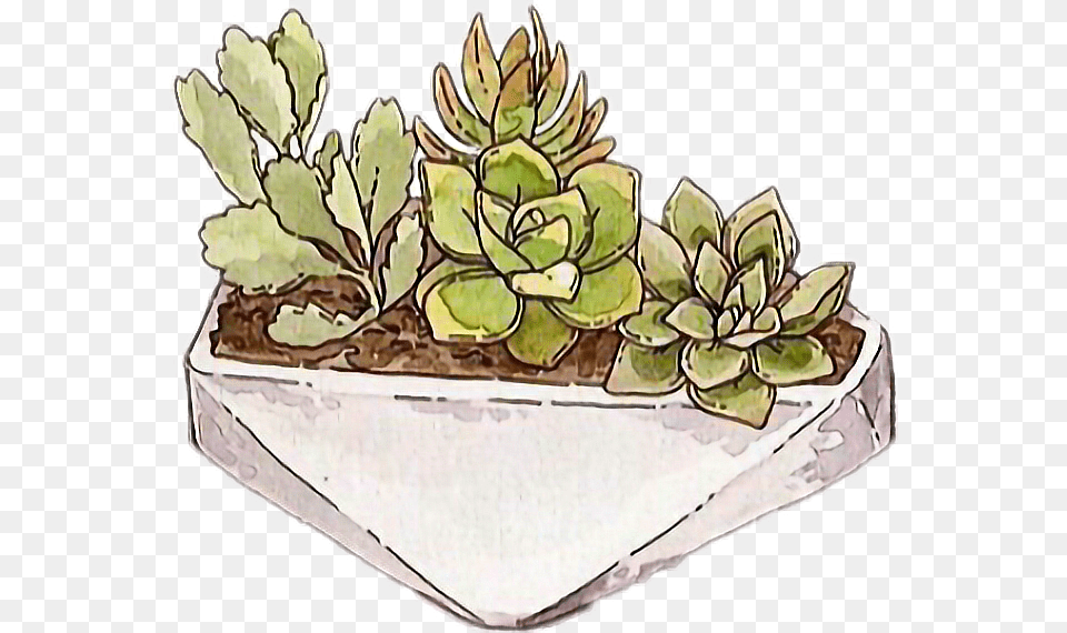 Freetoedit Cactus Succulent Tumblr Cartoon, Vase, Pottery, Potted Plant, Planter Png