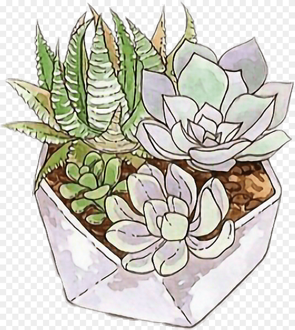 Freetoedit Cactus Succulent Tumblr Succulent Sticker Tumblr, Vase, Pottery, Potted Plant, Jar Free Png Download