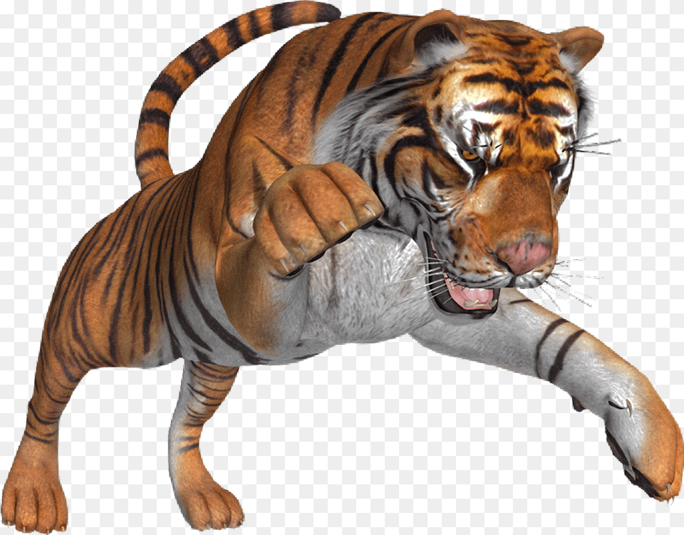 Freetoedit Creative Animal Tiger Angry Taylor Siberian Tiger, Mammal, Wildlife Png Image