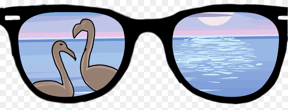 Freetoedit Dcglasses Glasses Tundra Swan, Window, Animal, Bird Free Transparent Png